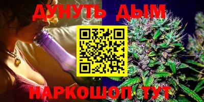 a pvp Новодвинск