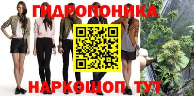 a pvp Новодвинск